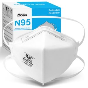 N95 Disposable Respirator - (Box of 10)
